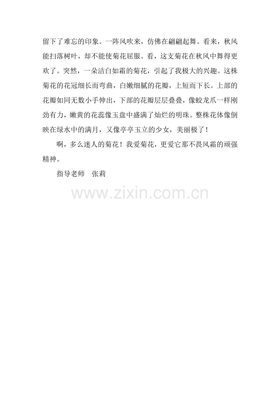 参观菊花展.docx_第2页