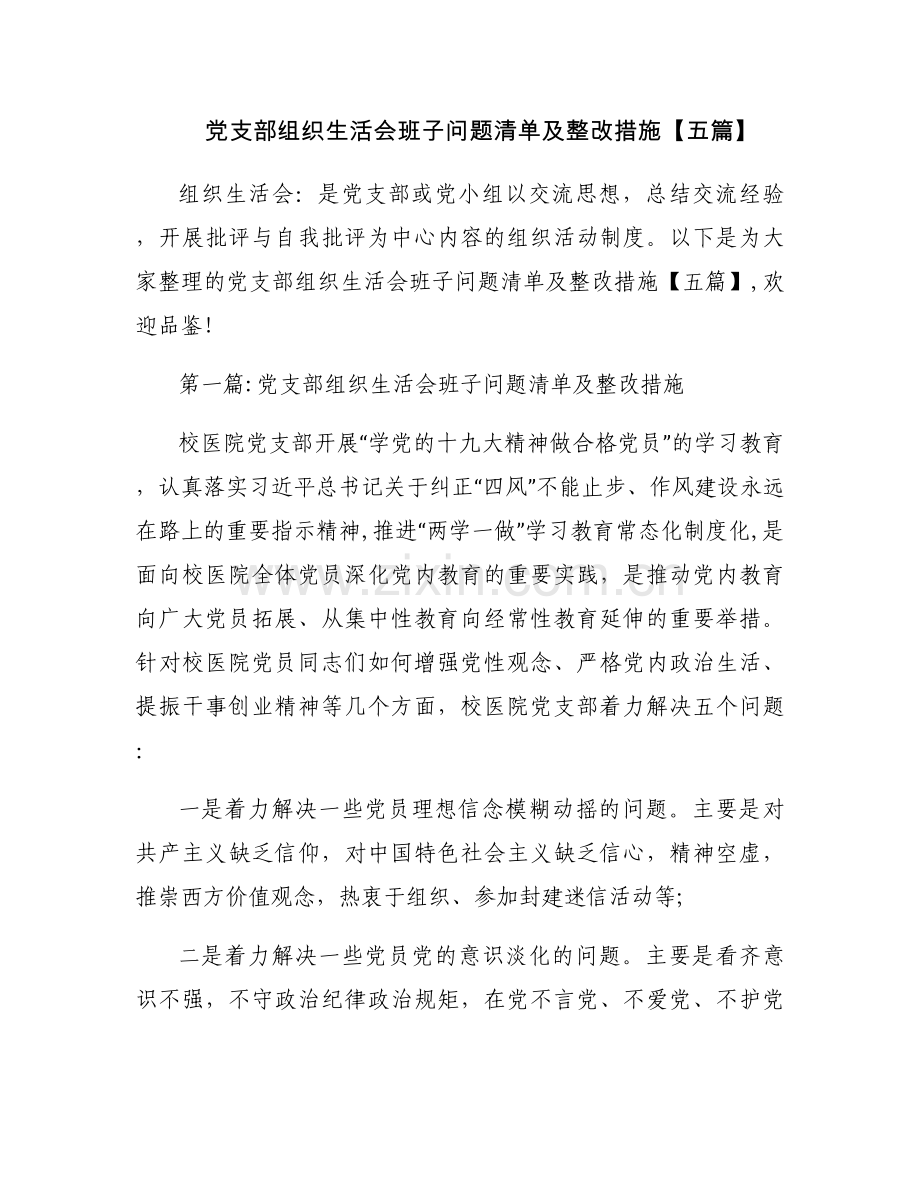 党支部组织生活会班子问题清单及整改措施【五篇】.docx_第1页