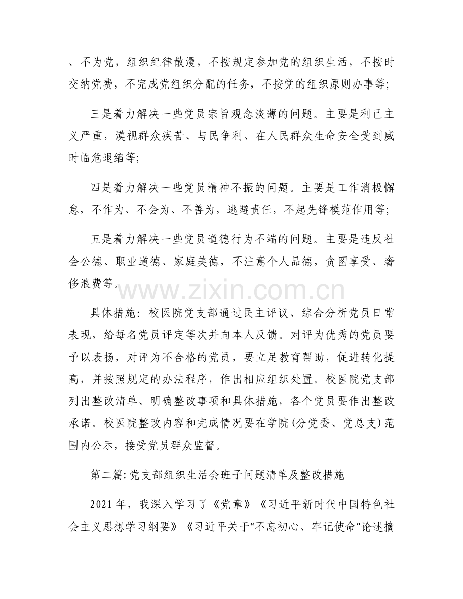 党支部组织生活会班子问题清单及整改措施【五篇】.docx_第2页