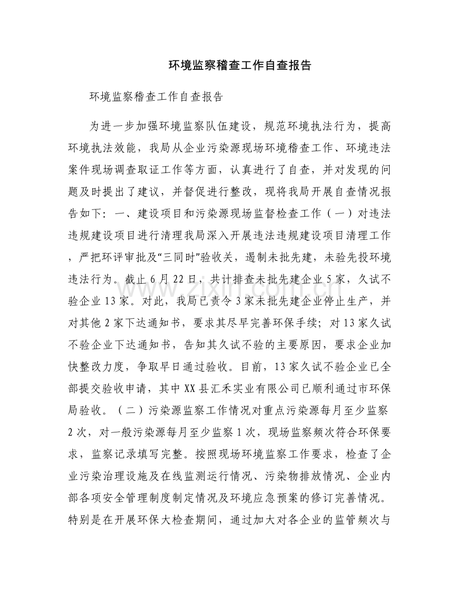 环境监察稽查工作自查报告.docx_第1页