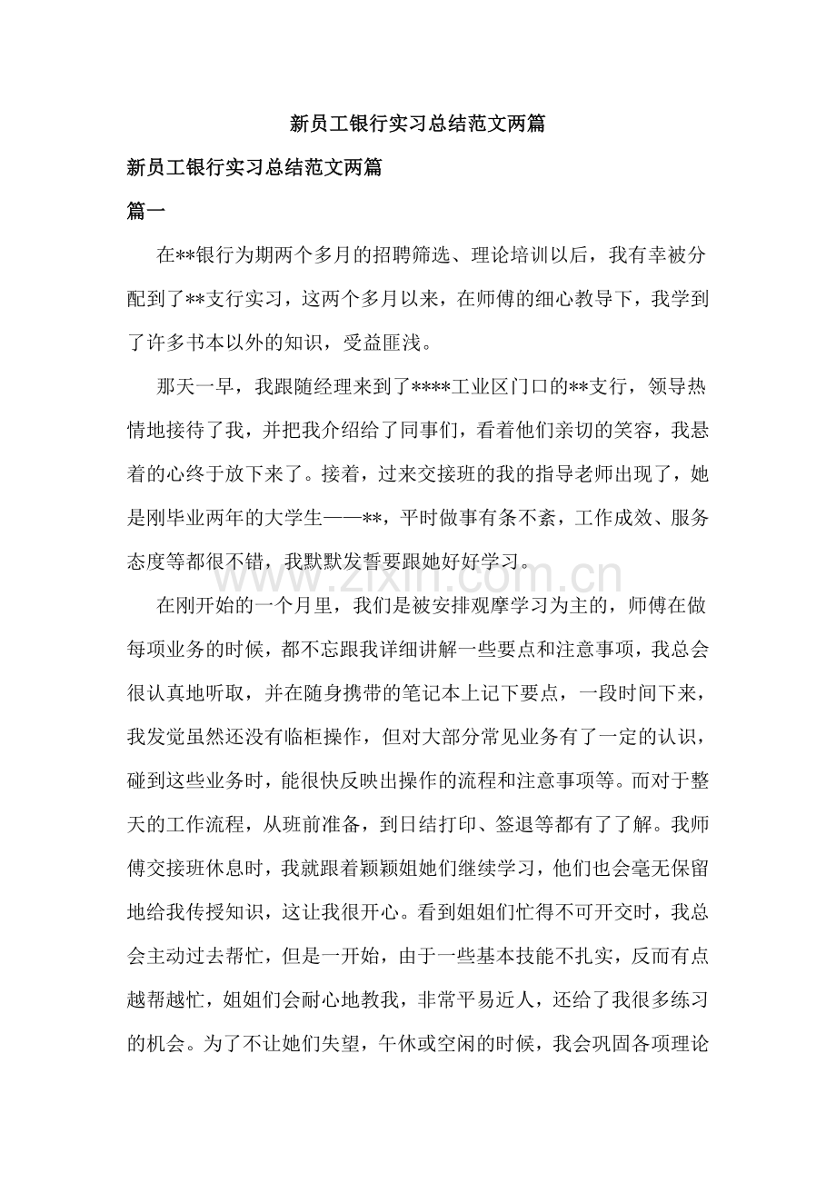 银行新员工实习总结范文两篇.doc_第1页