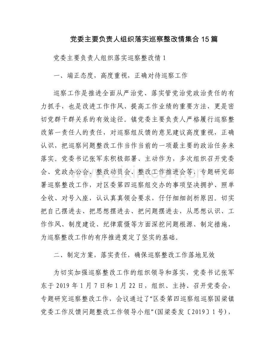 党委主要负责人组织落实巡察整改情集合15篇.docx_第1页