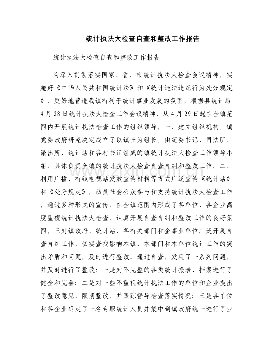 统计执法大检查自查和整改工作报告.docx_第1页
