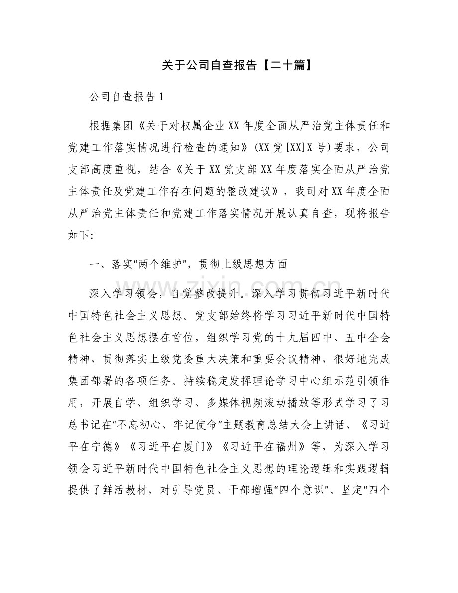 关于公司自查报告【二十篇】.docx_第1页