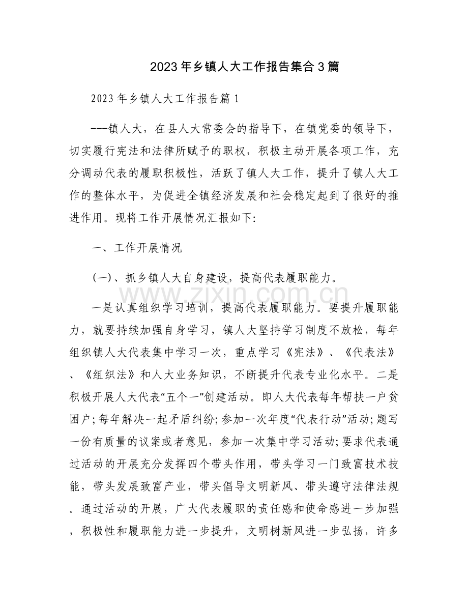 2023年乡镇人大工作报告集合3篇.docx_第1页