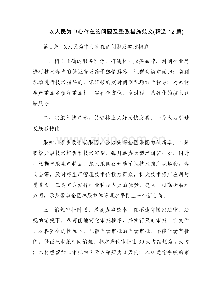 以人民为中心存在的问题及整改措施范文(12篇).docx_第1页