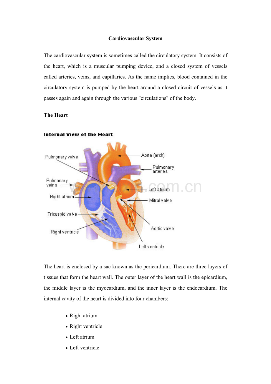 CardiovascularSystem.doc_第1页