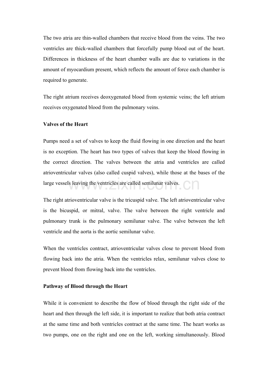 CardiovascularSystem.doc_第2页
