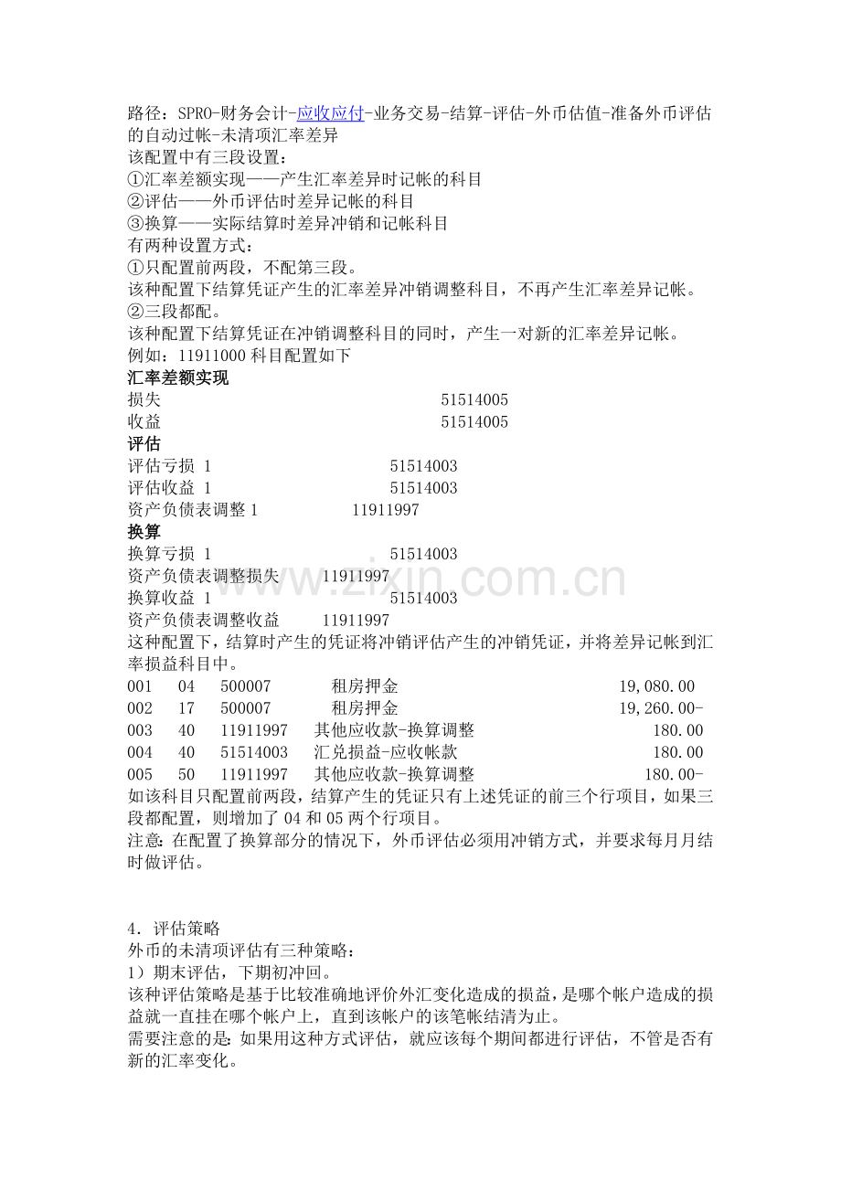 外币未清项评估原理及注意事项.docx_第2页