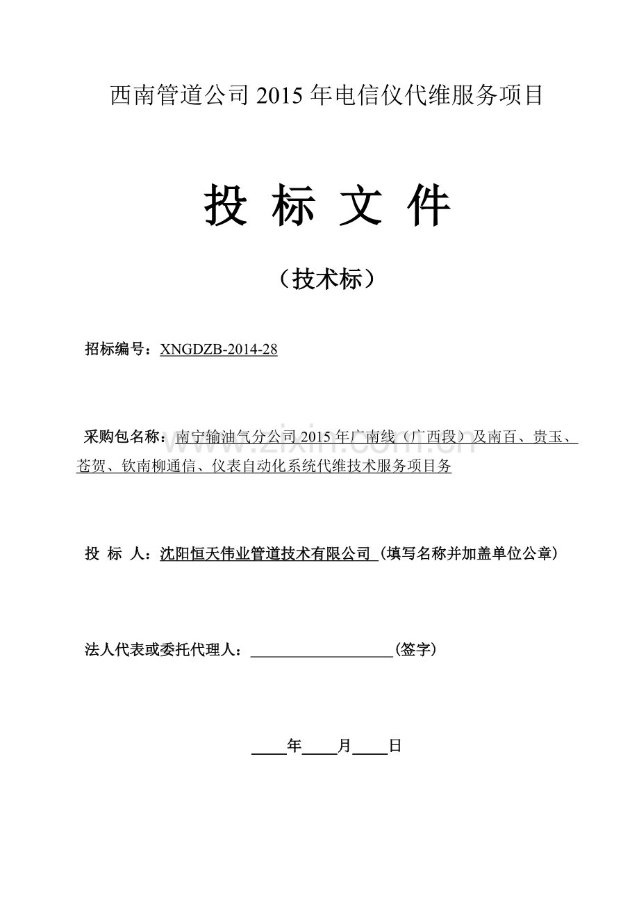 项目投标--技术文件.doc_第1页
