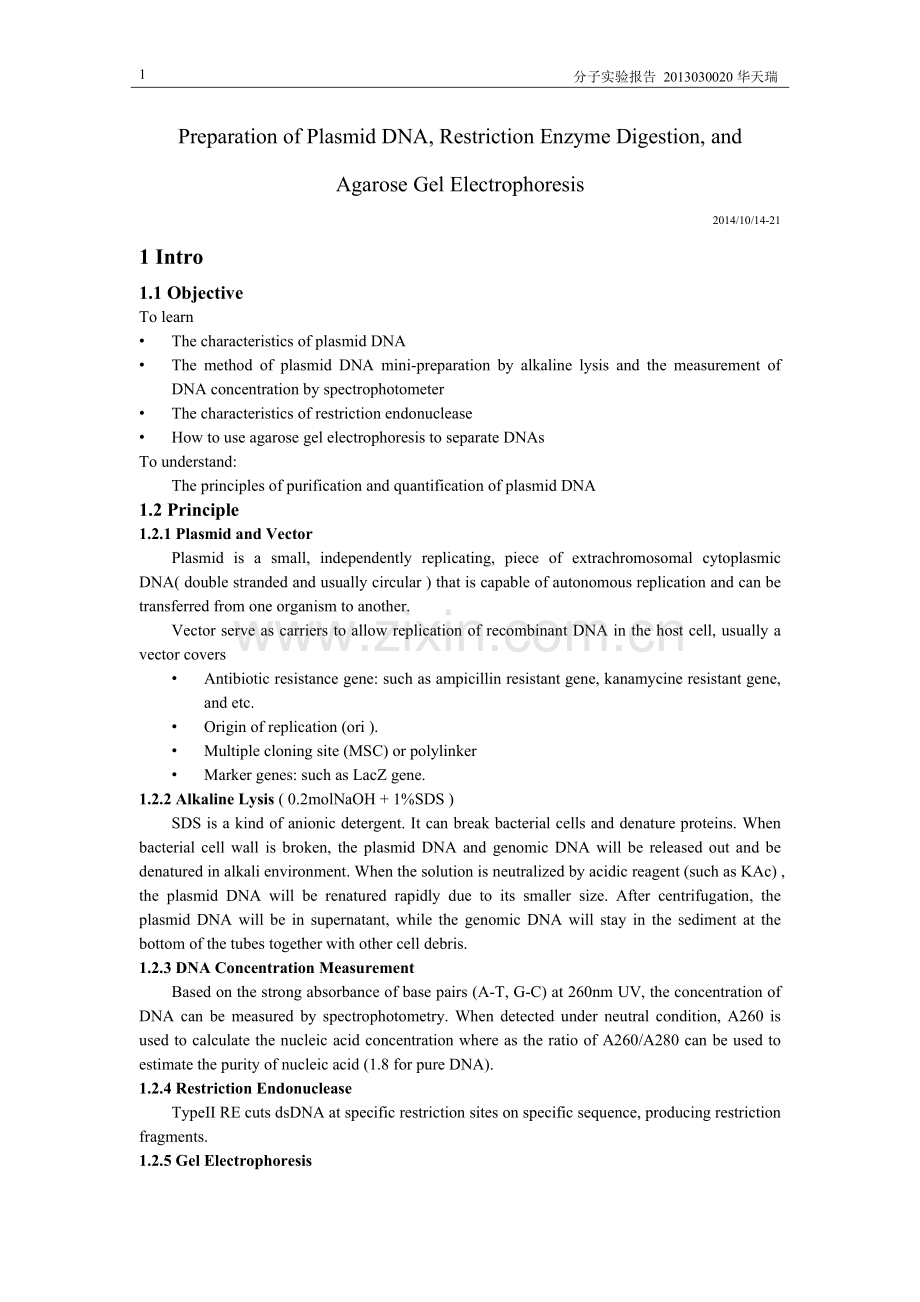 质粒提取与酶切电泳实验报告.doc_第1页