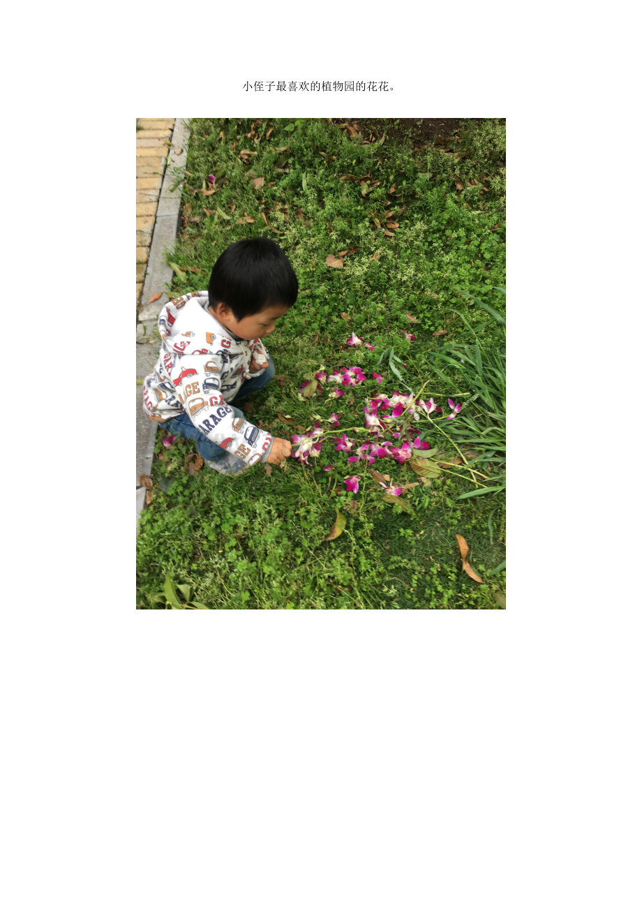 植物园的花花.doc_第1页