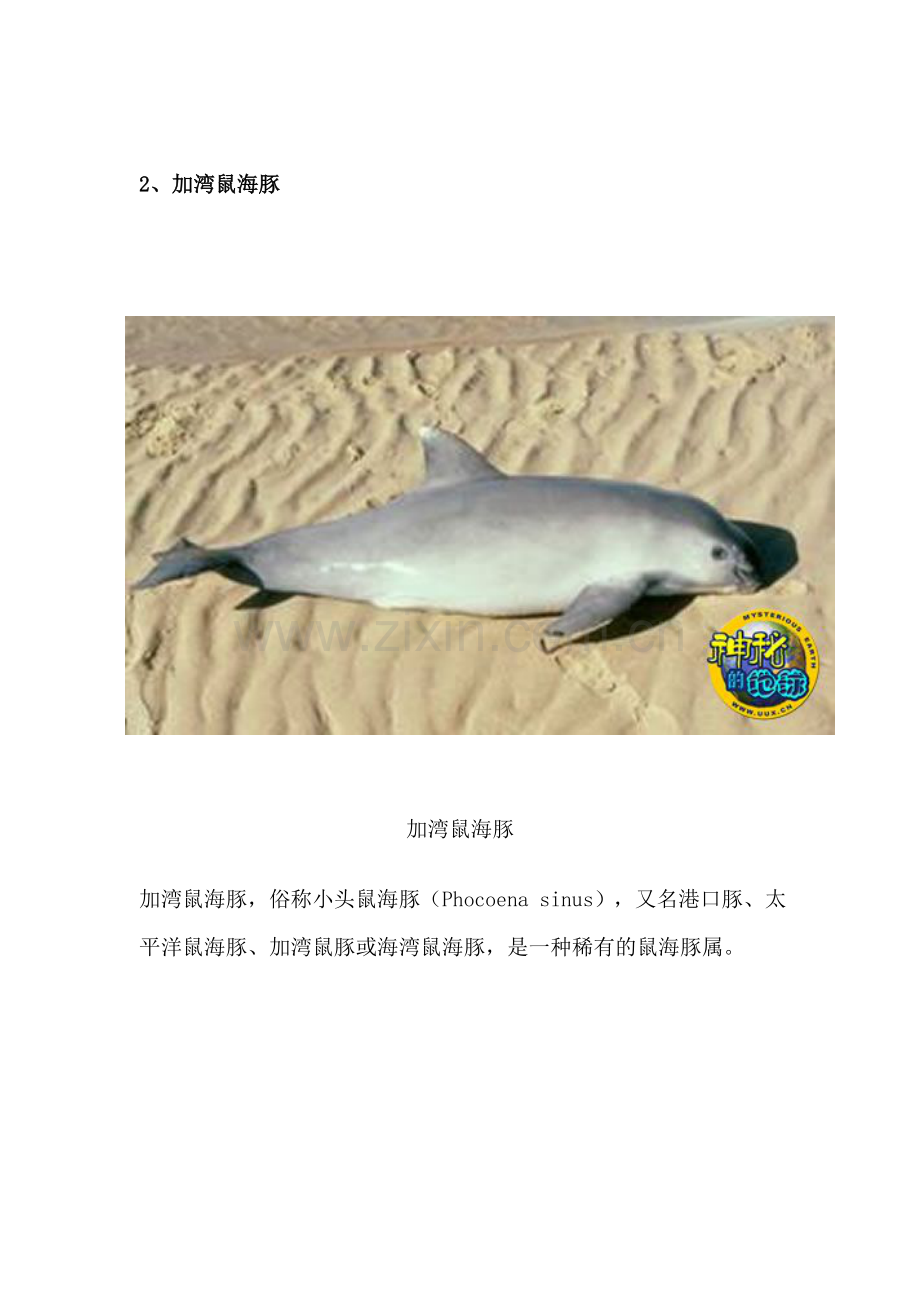 世界十大濒临灭绝的珍稀动物排行榜.doc_第2页