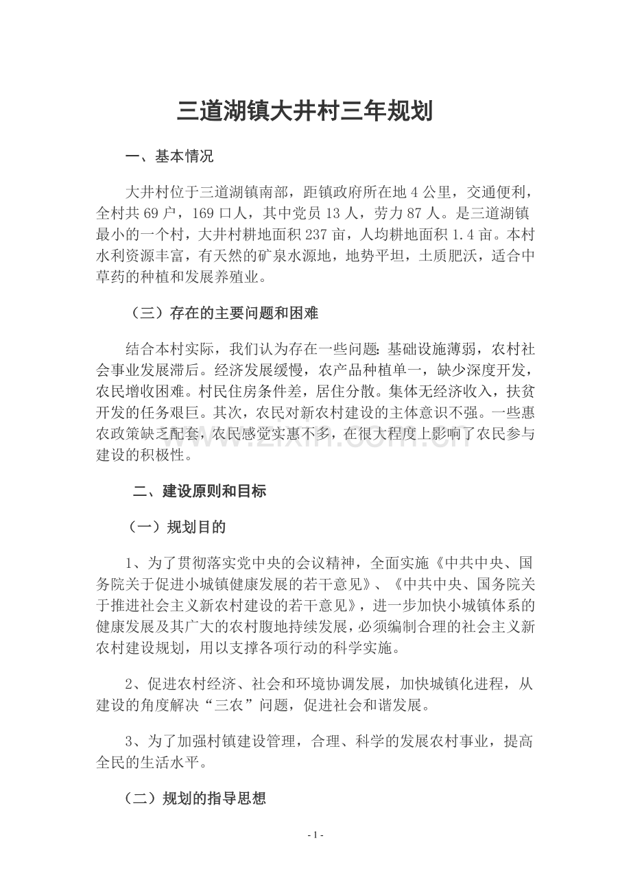 大井村三年规划.doc_第1页