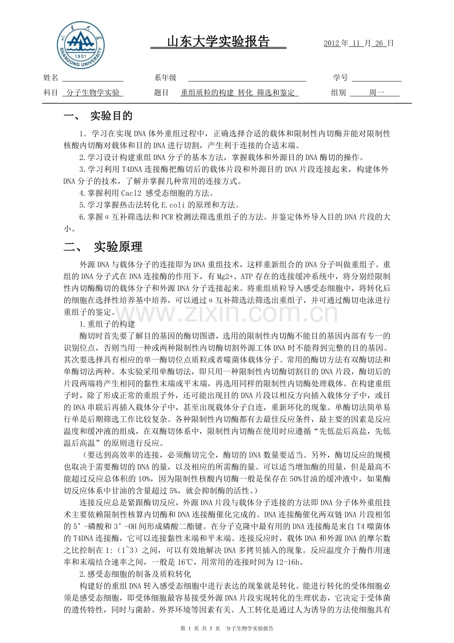 重组质粒的构建-转化-筛选和鉴定.doc_第1页