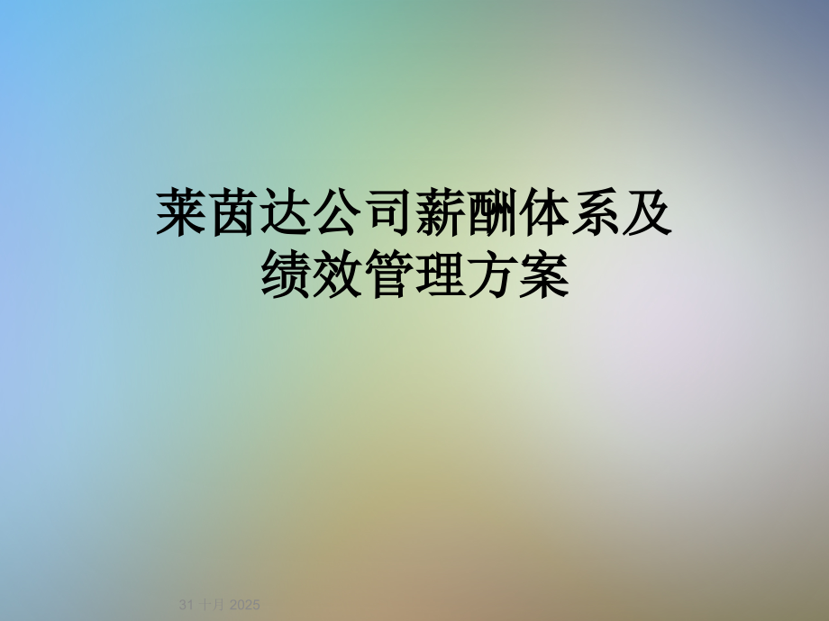 莱茵达公司薪酬体系及绩效管理方案.ppt_第1页