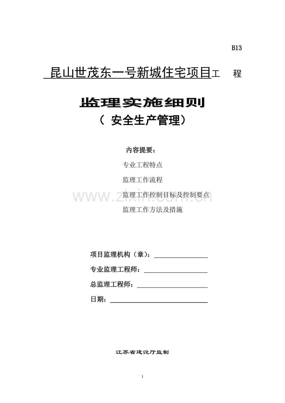 安全监理细则(修正版).doc_第1页