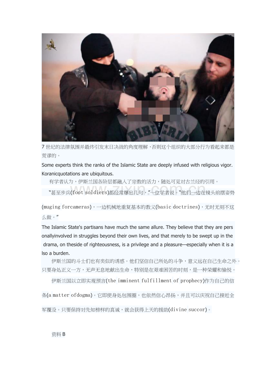 IS背景资料及图片收集.doc_第2页