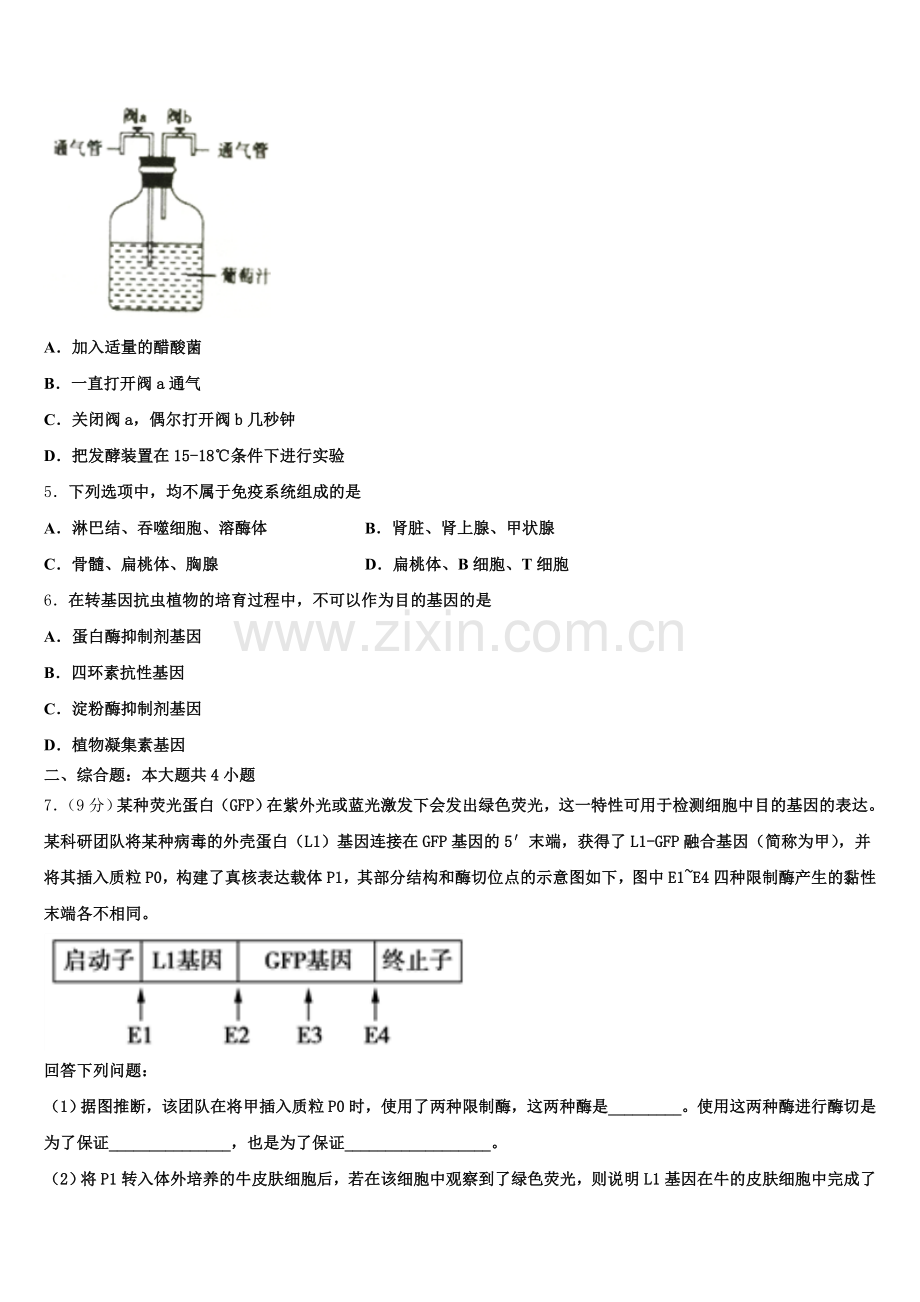 河北省唐山市遵化市2024-2025学年高二生物第二学期期末达标检测模拟试题含解析.doc_第2页
