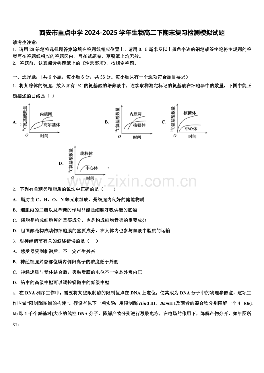 西安市重点中学2024-2025学年生物高二下期末复习检测模拟试题含解析.doc_第1页