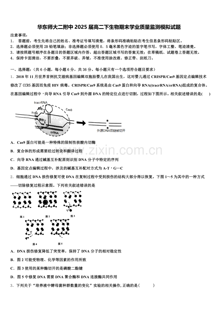 华东师大二附中2025届高二下生物期末学业质量监测模拟试题含解析.doc_第1页