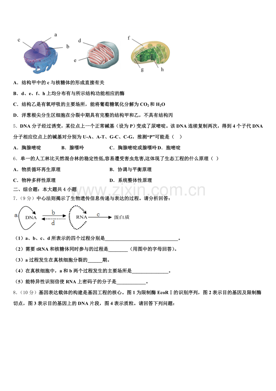 2025届天津市滨海新区高二下生物期末联考试题含解析.doc_第2页