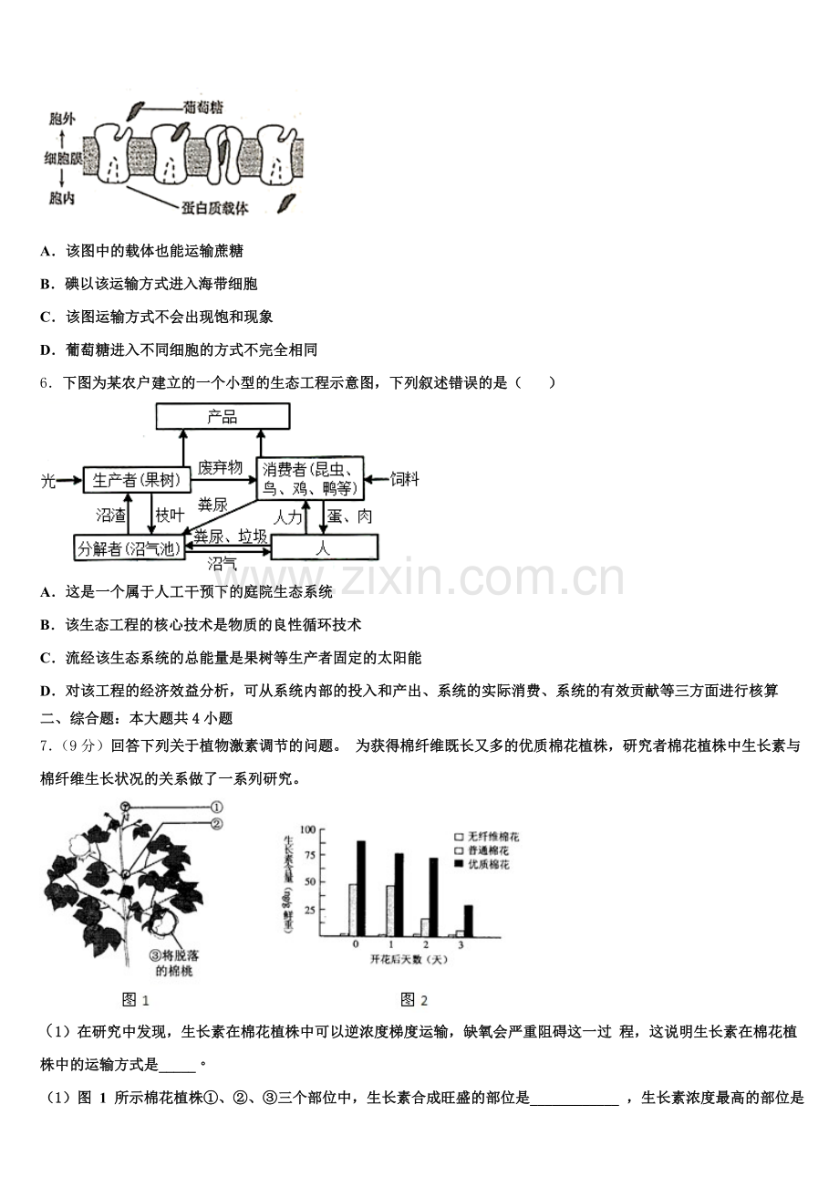 2024-2025学年北京市海淀区北方交大附中高二下生物期末质量跟踪监视模拟试题含解析.doc_第2页