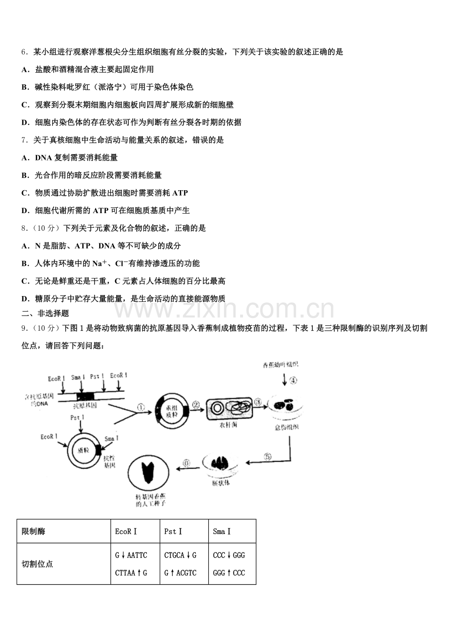 2025年江西省赣州市崇义中学生物高二第二学期期末复习检测模拟试题含解析.doc_第2页