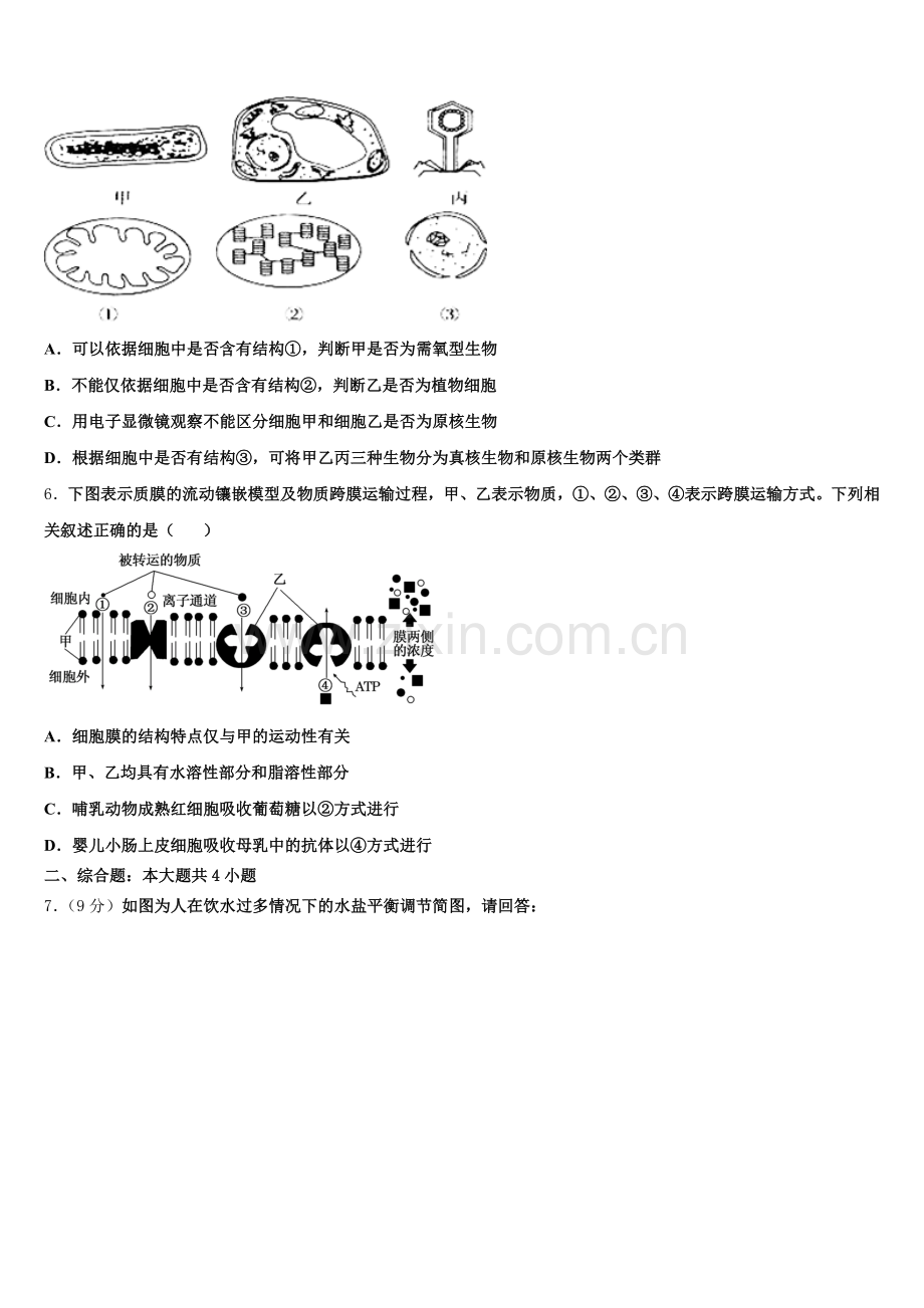 2024-2025学年湖北省西南三校合作体生物高二第二学期期末综合测试试题含解析.doc_第2页