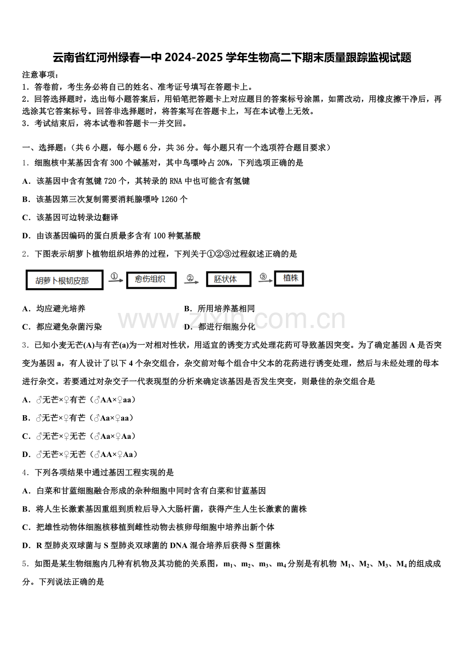 云南省红河州绿春一中2024-2025学年生物高二下期末质量跟踪监视试题含解析.doc_第1页