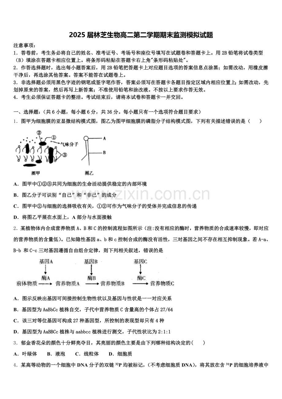 2025届林芝生物高二第二学期期末监测模拟试题含解析.doc_第1页