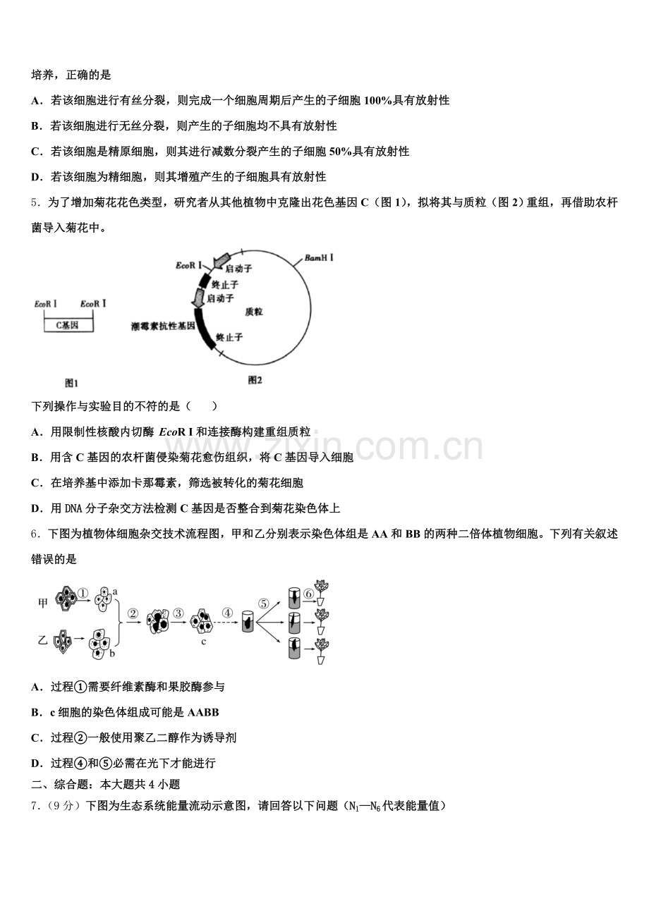 2025届林芝生物高二第二学期期末监测模拟试题含解析.doc_第2页