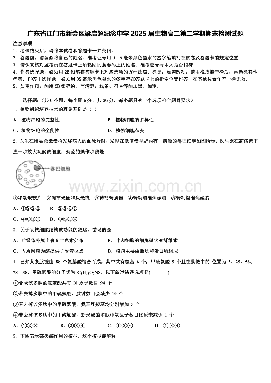 广东省江门市新会区梁启超纪念中学2025届生物高二第二学期期末检测试题含解析.doc_第1页