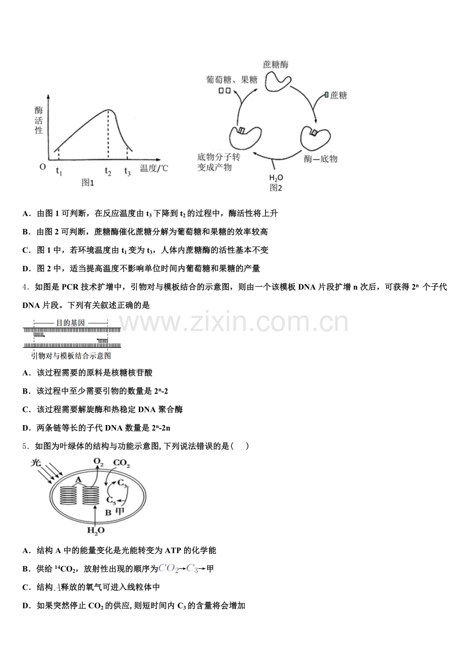2025年河北省涉县一 中高二下生物期末检测模拟试题含解析.doc_第2页