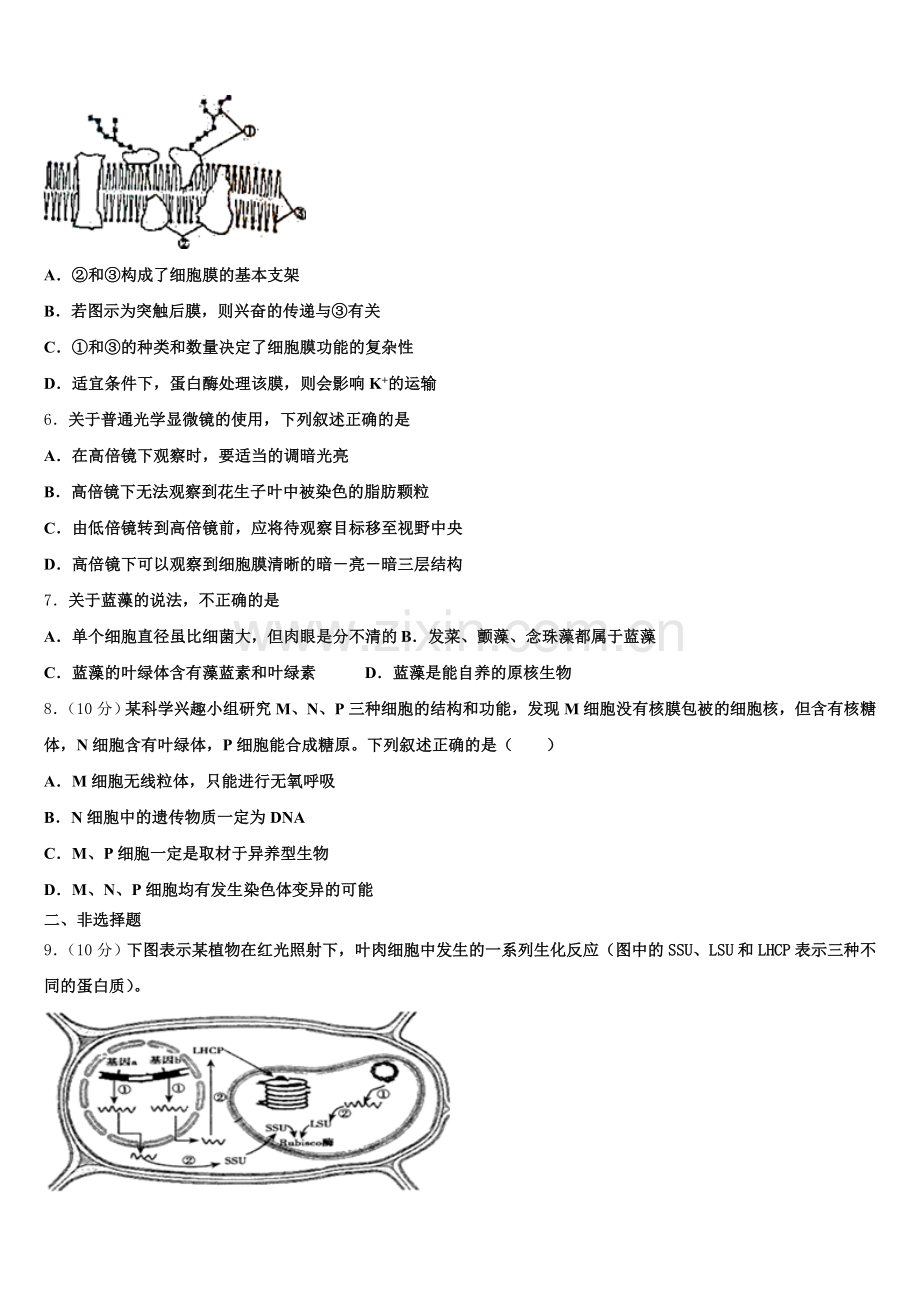 2025届广东省蓝精灵中学高二生物第二学期期末教学质量检测模拟试题含解析.doc_第2页
