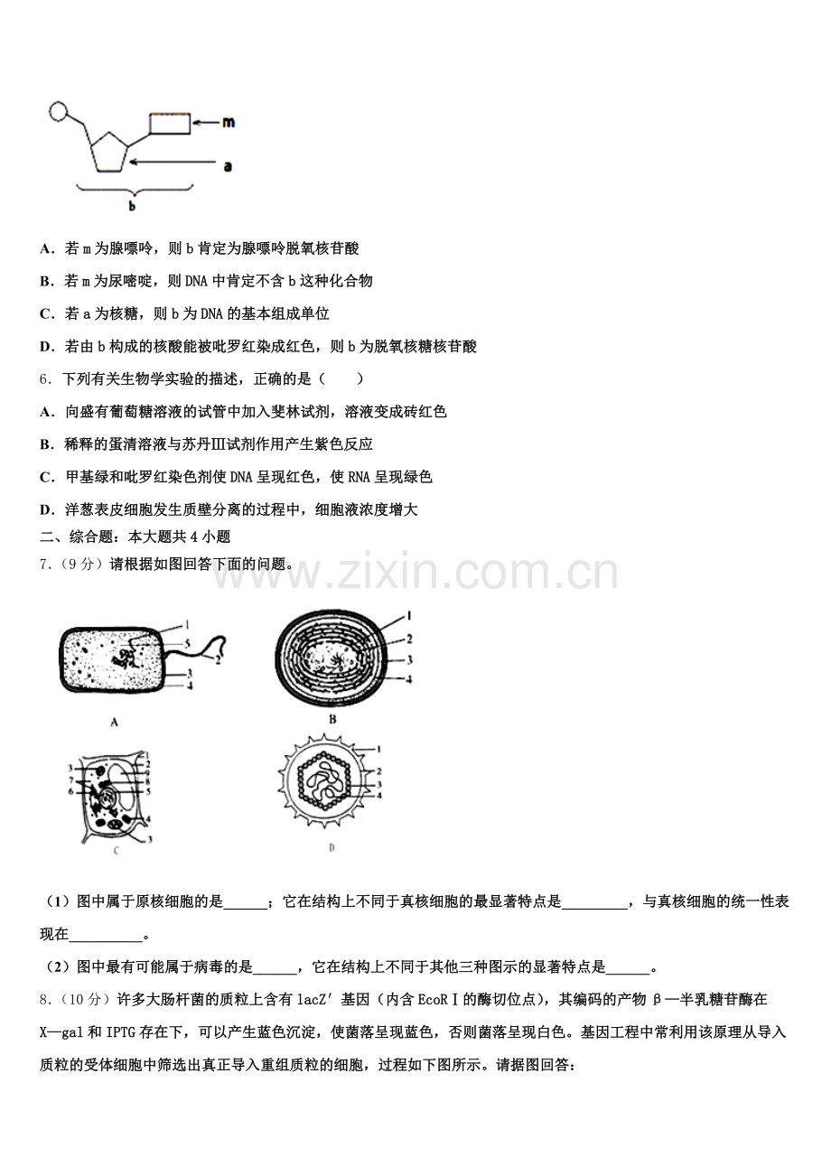 2025年贵州省毕节市梁才学校生物高二第二学期期末综合测试试题含解析.doc_第2页