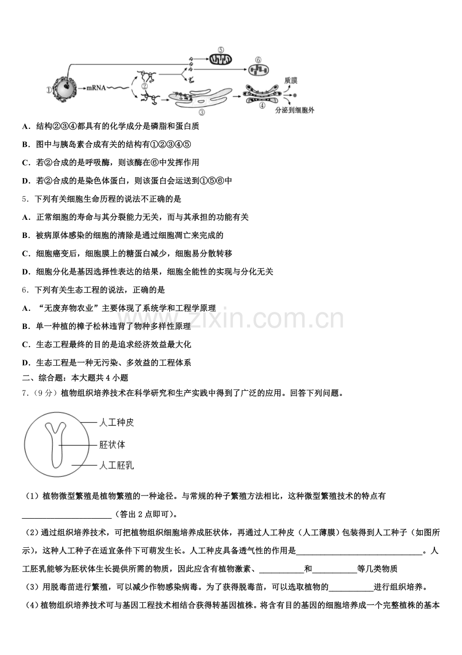 江苏省北大附属宿迁实验学校2024-2025学年高二生物第二学期期末经典模拟试题含解析.doc_第2页
