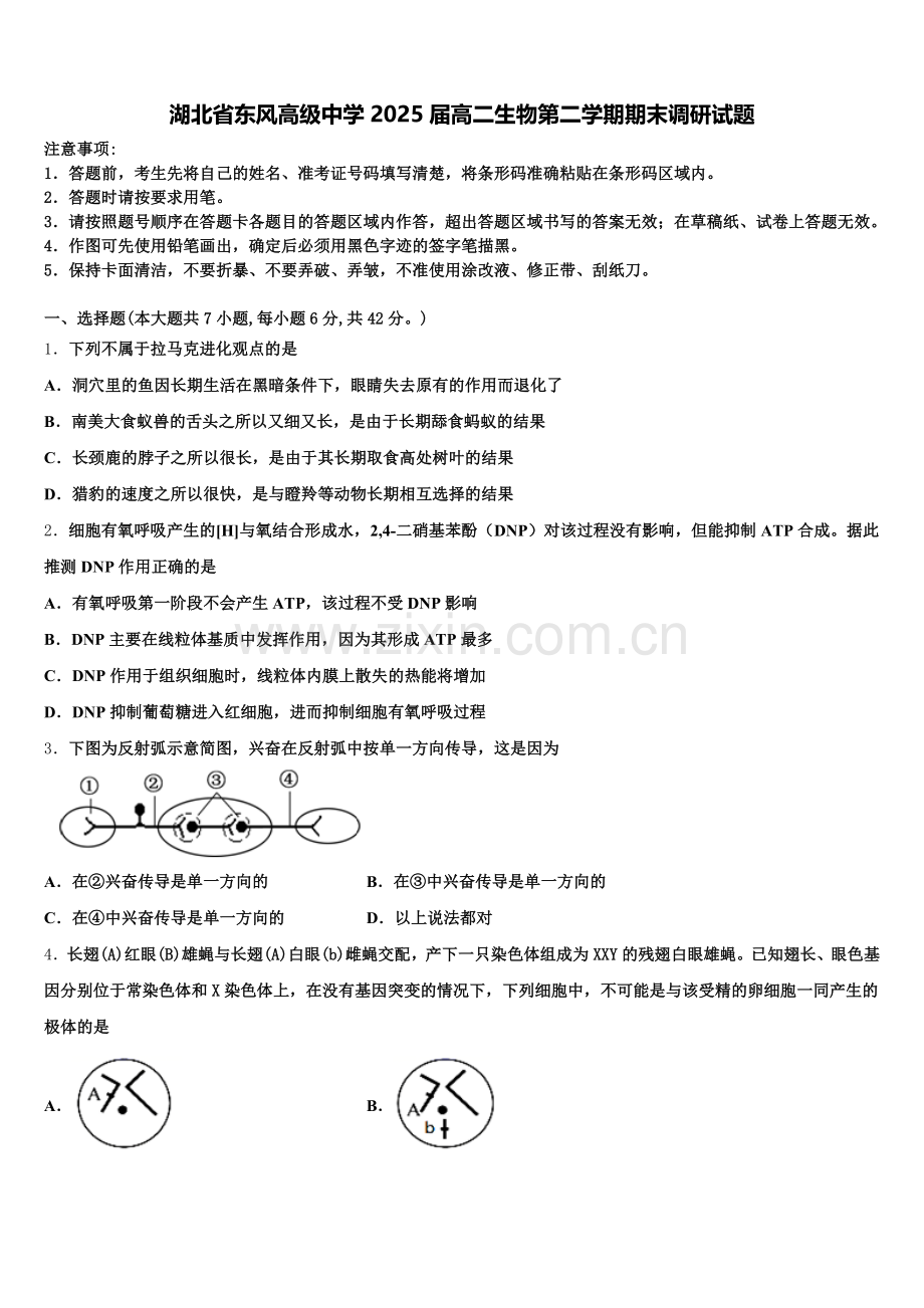 湖北省东风高级中学2025届高二生物第二学期期末调研试题含解析.doc_第1页