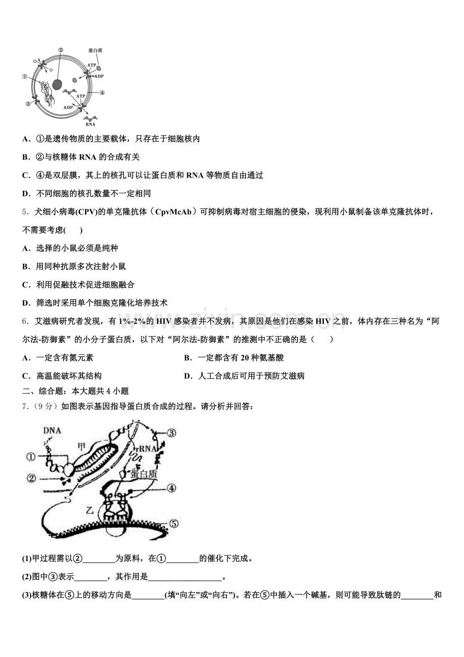 甘肃省白银市会宁四中2024-2025学年生物高二下期末统考试题含解析.doc_第2页