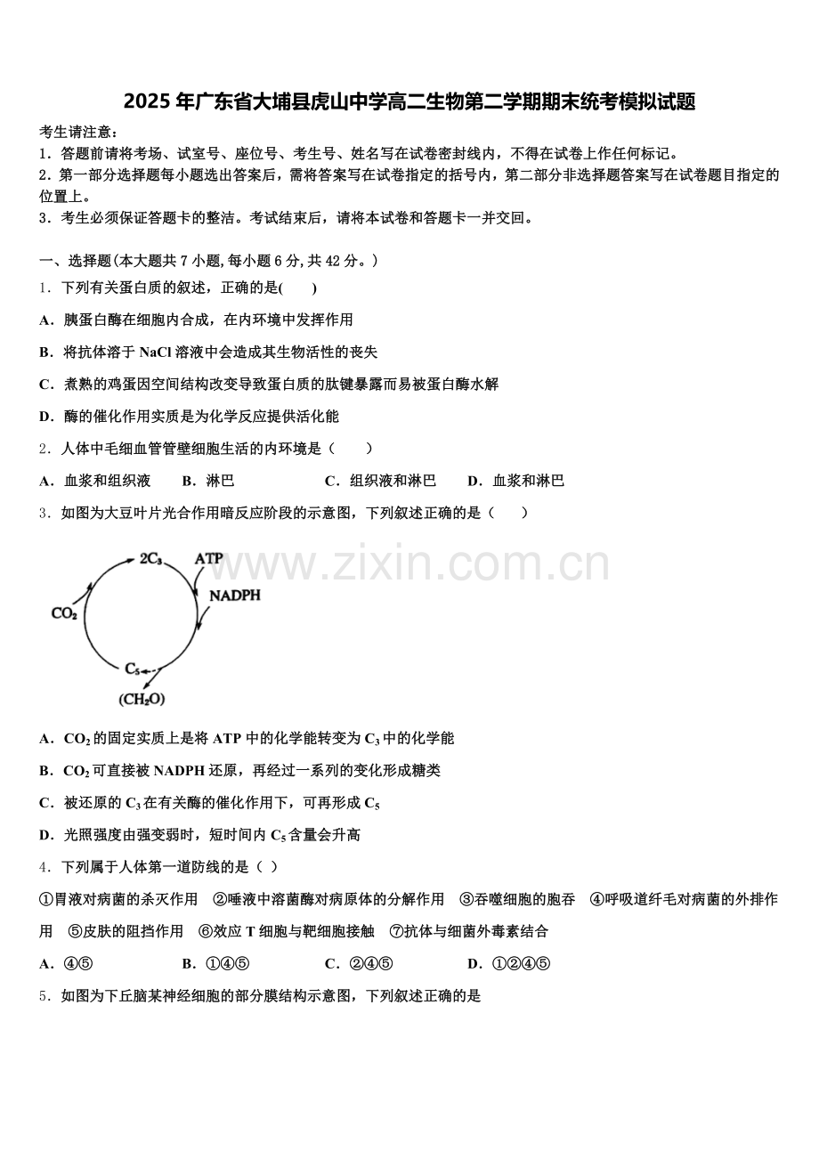 2025年广东省大埔县虎山中学高二生物第二学期期末统考模拟试题含解析.doc_第1页