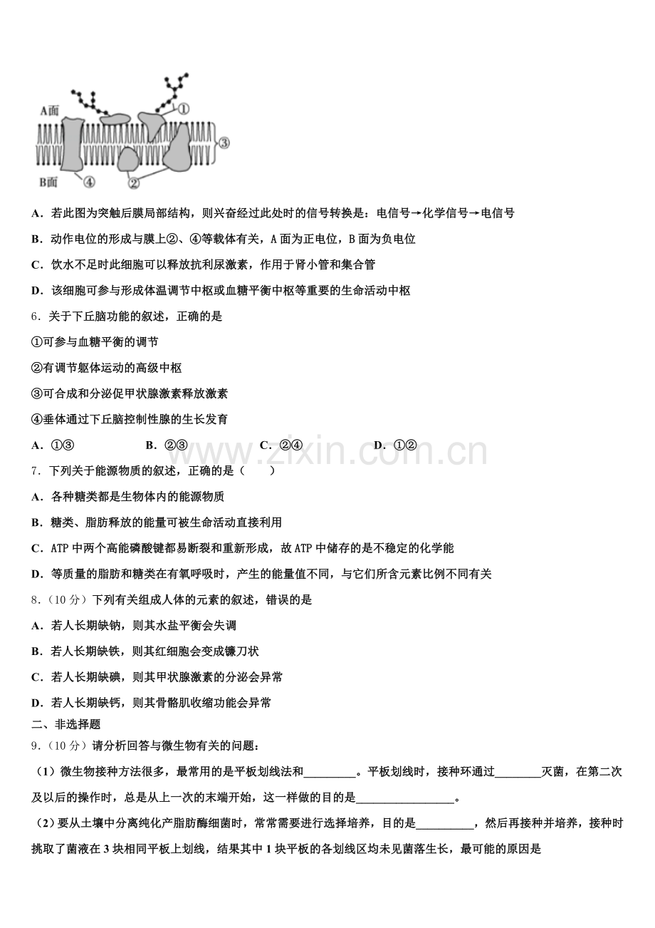 2025年广东省大埔县虎山中学高二生物第二学期期末统考模拟试题含解析.doc_第2页