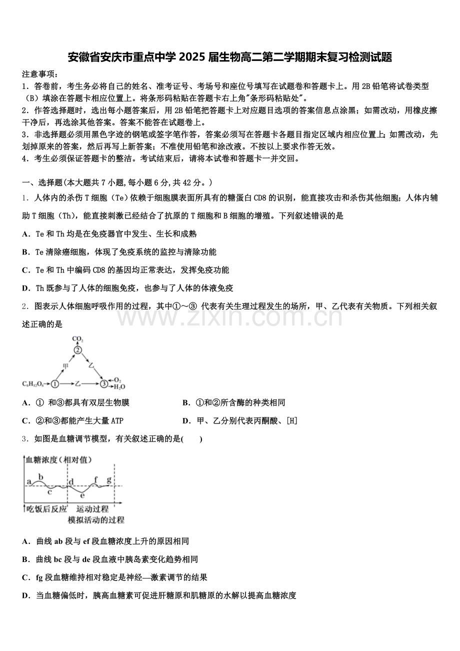 安徽省安庆市重点中学2025届生物高二第二学期期末复习检测试题含解析.doc_第1页