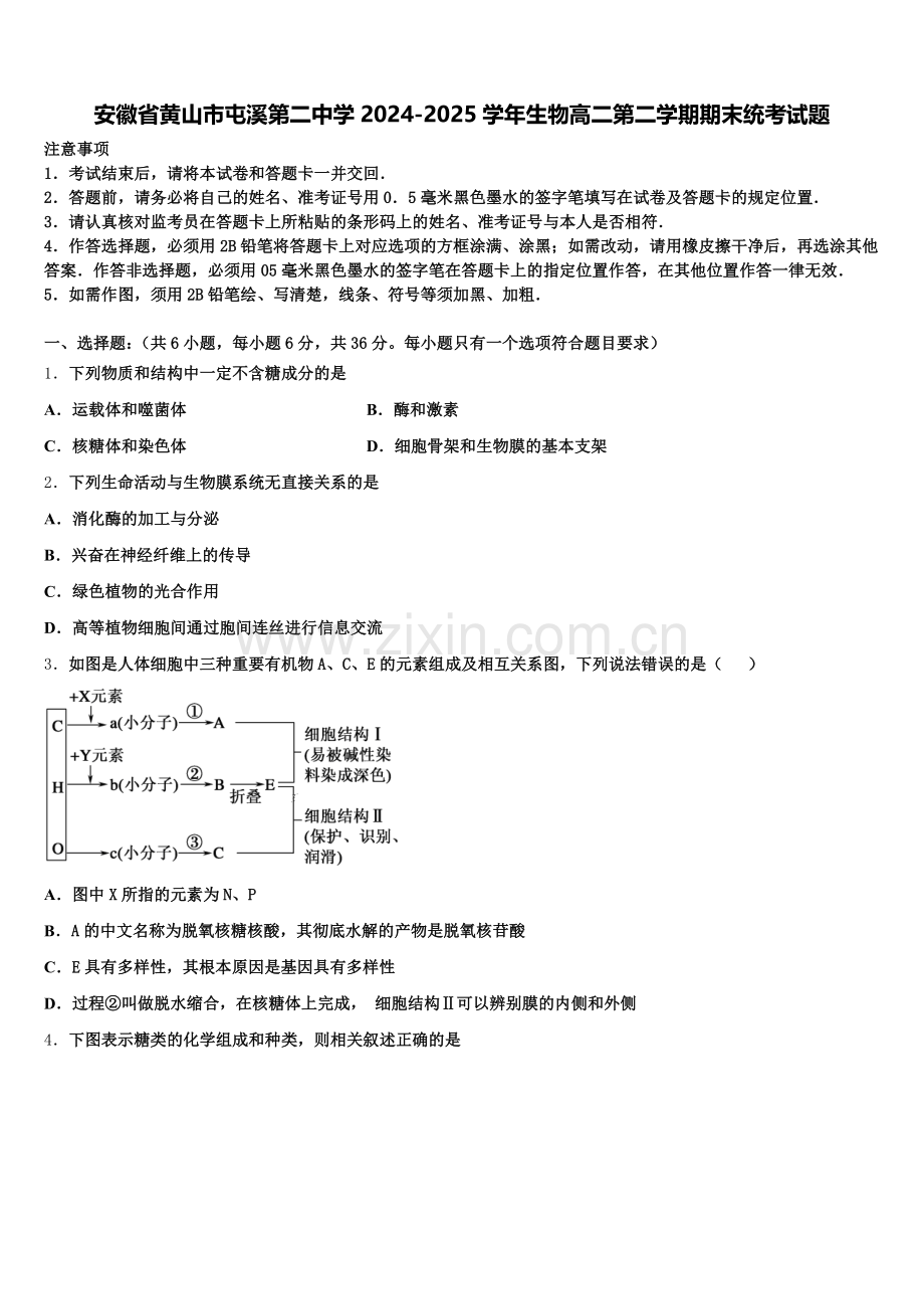安徽省黄山市屯溪第二中学2024-2025学年生物高二第二学期期末统考试题含解析.doc_第1页