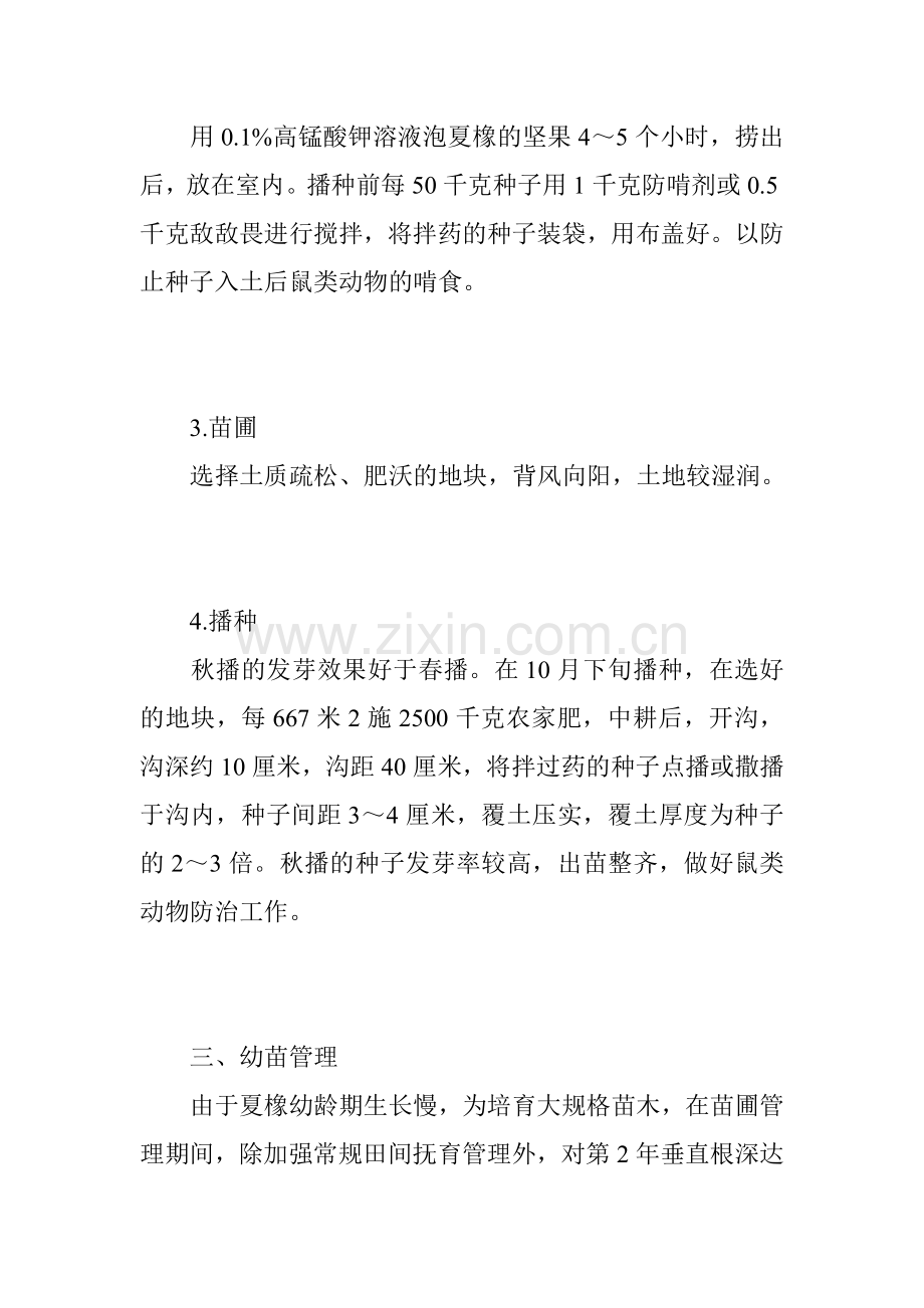 夏橡育苗技术.doc_第2页