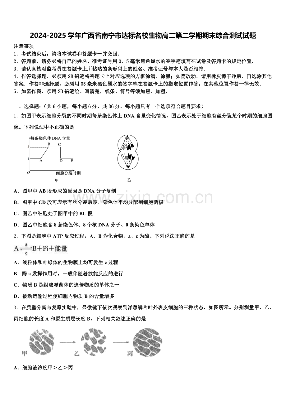 2024-2025学年广西省南宁市达标名校生物高二第二学期期末综合测试试题含解析.doc_第1页