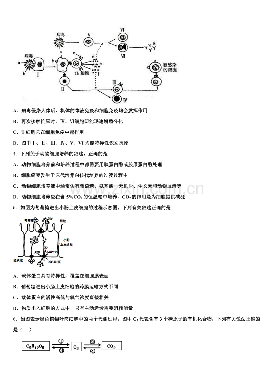 江苏省常州市第一中学2025年高二下生物期末检测模拟试题含解析.doc_第2页