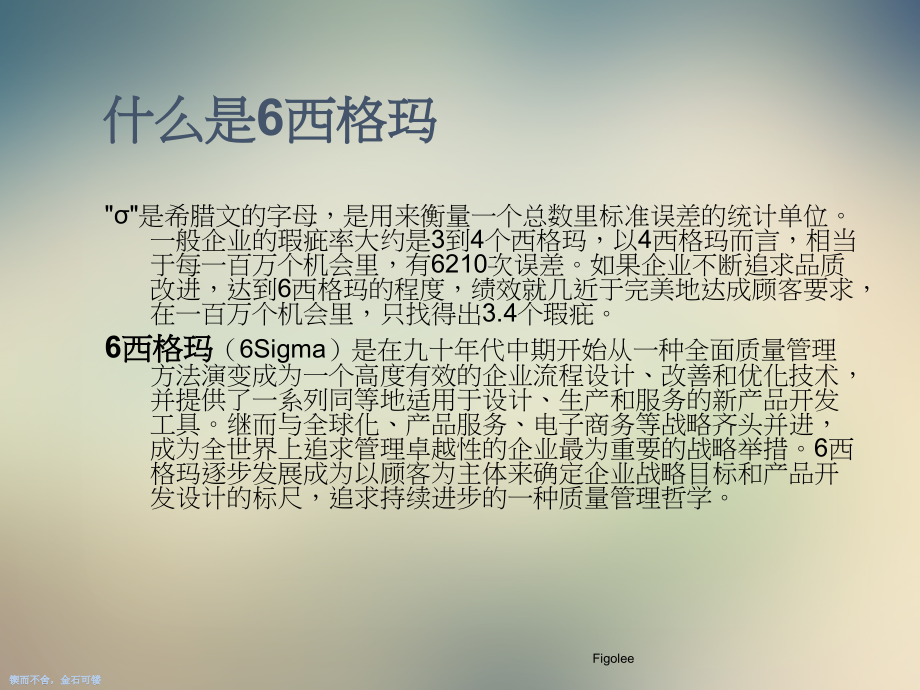 六西格玛入门.ppt_第2页