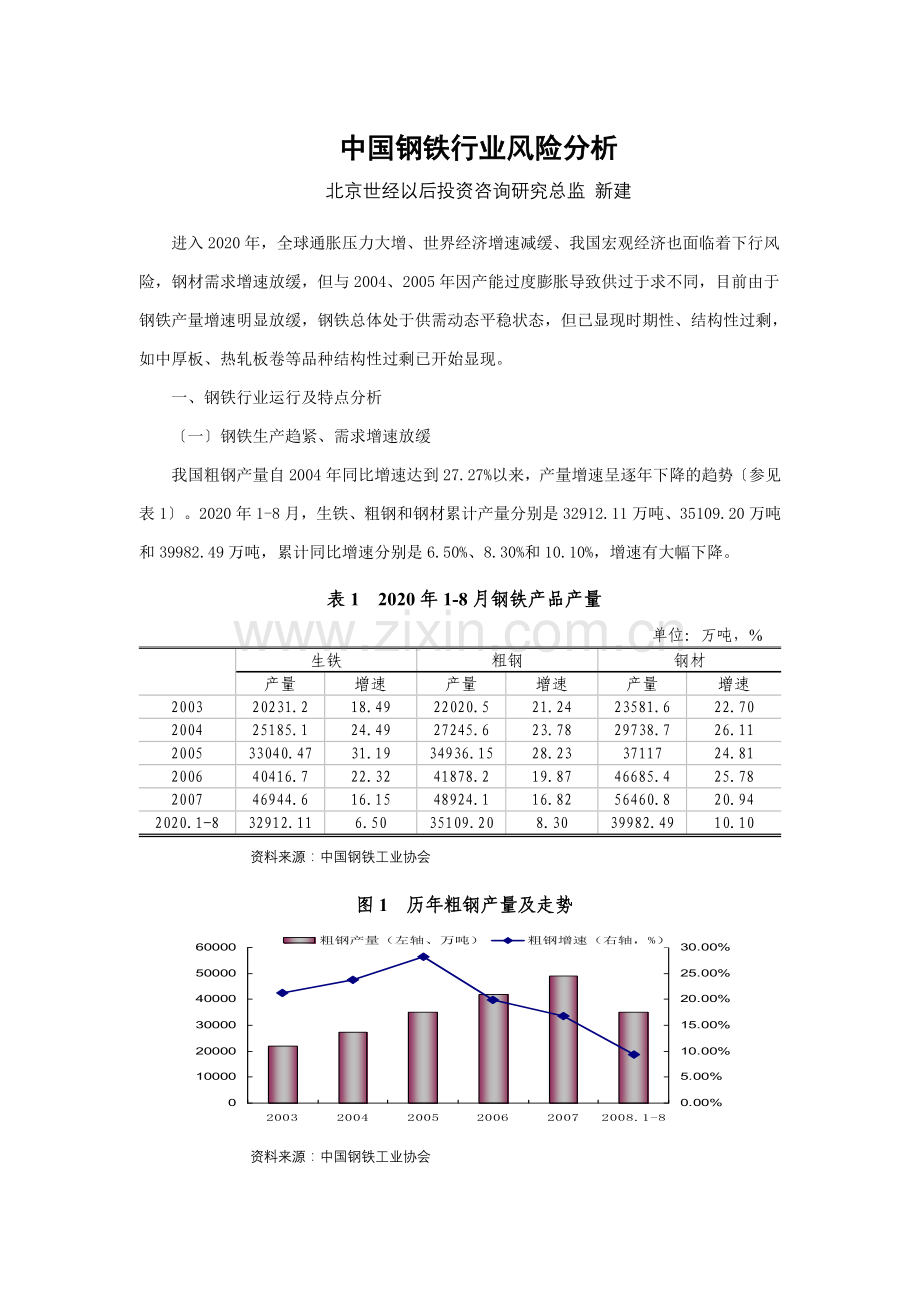 中国钢铁行业风险分析.docx_第1页