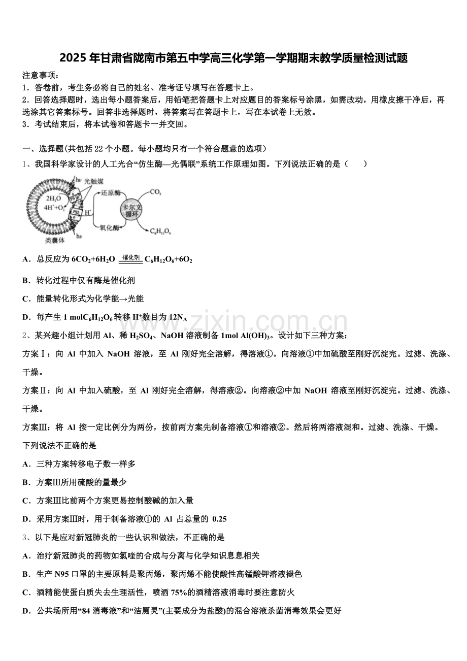 2025年甘肃省陇南市第五中学高三化学第一学期期末教学质量检测试题.doc_第1页