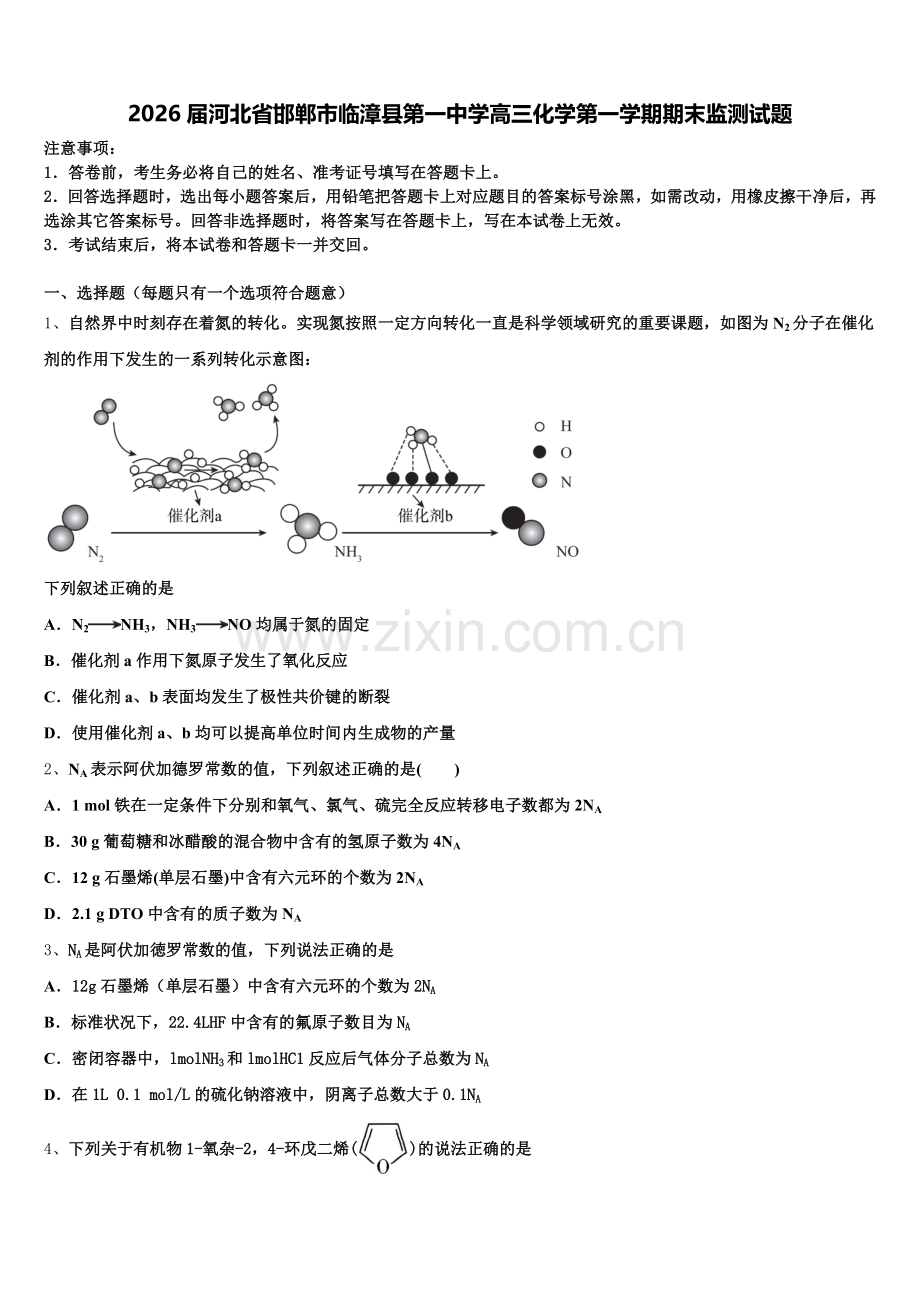 2026届河北省邯郸市临漳县第一中学高三化学第一学期期末监测试题.doc_第1页